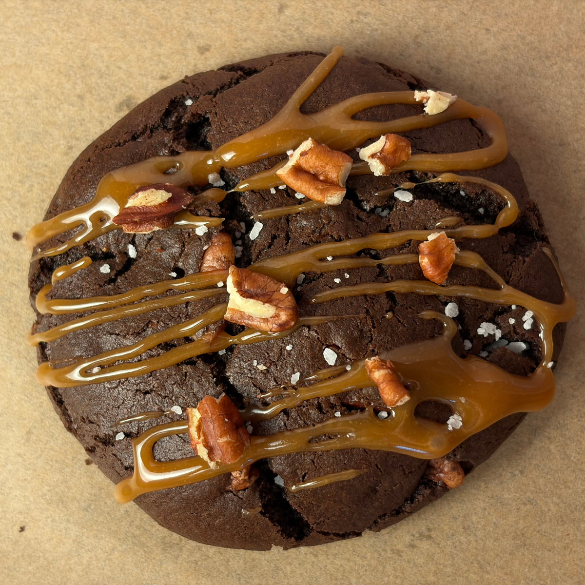 Turtle Cookie