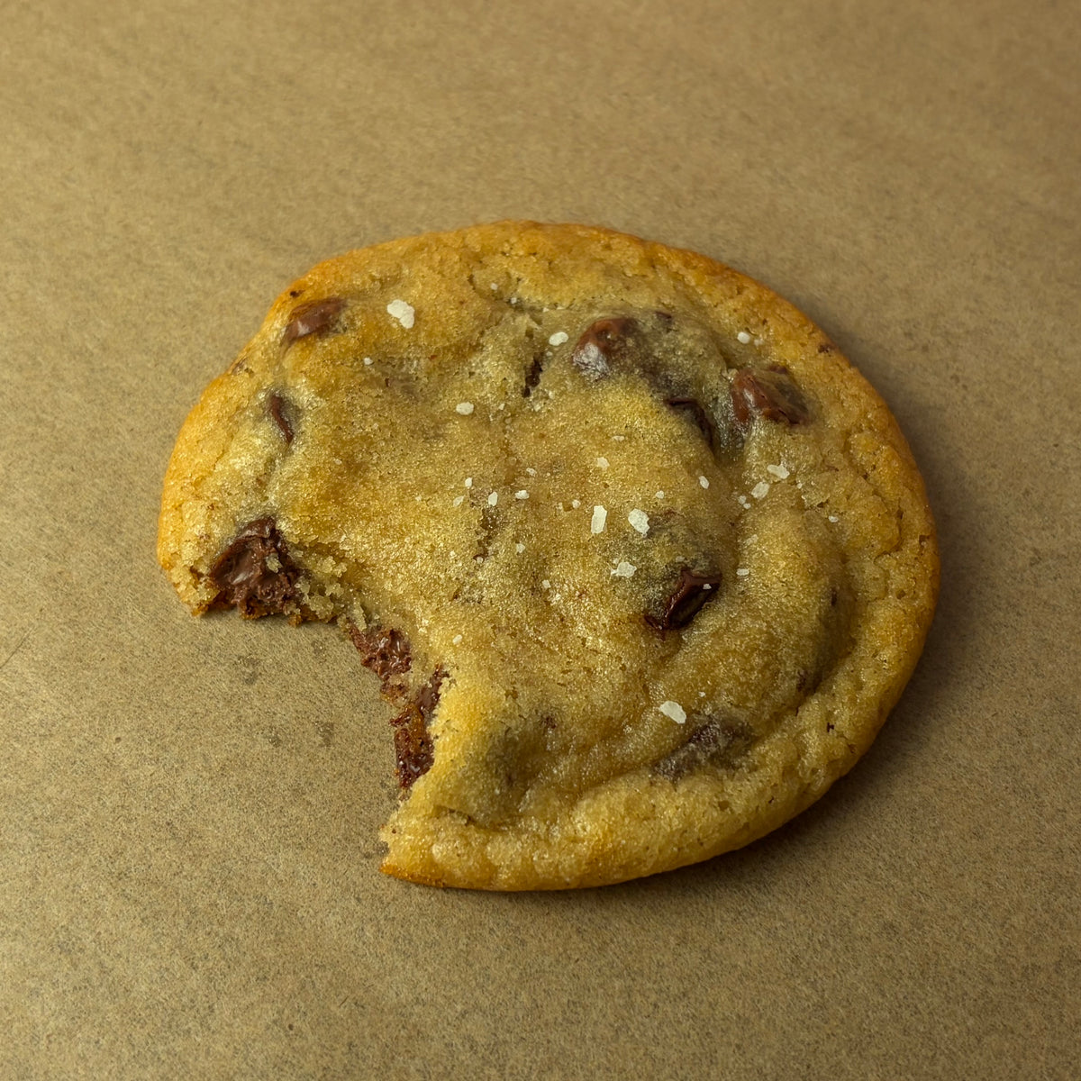 Double Chocolate Chunk Cookie